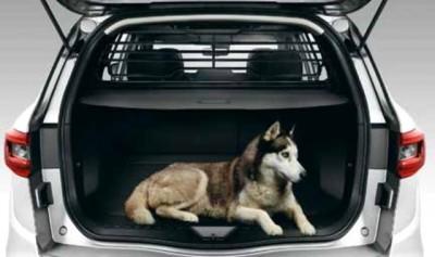 Renault dog hot sale guard