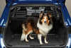 Renault Kadjar Partition Grid/Dog Guard