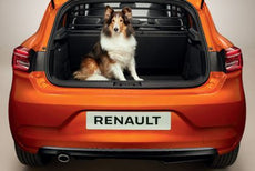 Renault Clio (5) Dog Guard/Partition Grille