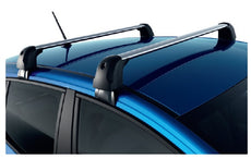 Ski rack - 4 pairs of skis/2 snowboards - Dacia