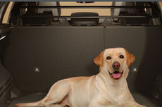 Renault Austral Separation Grid / Dog Guard