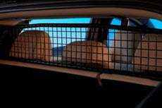 Genuine Nissan Leaf ZE2 Pet Barrier Dog Guard
