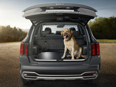 Genuine Kia Sorento (MQ4) Dog Guard, Lower Section