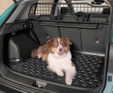 Genuine Kia Sportage (NQ5) Cargo Separator / Dog Guard