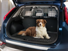 Kia Niro (SG2) - Dog Guard / Cargo Seperator