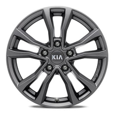 Kia - 16" Alloy Wheel, Anyang, Graph