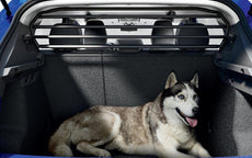 Dog Guard / Partition Grille, Dacia Sandero III / Stepway III